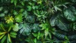 © PuriStudio - Lush Green Tropical Foliage Mix Creating a Vibrant Natural Background with Various Leaf Shapes and Textures for Interior Decor and Design Inspiration