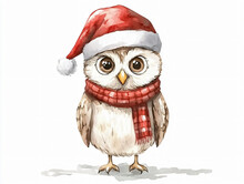 クリスマスのフクロウの背景? 無料画像 - Public Domain Pictures
