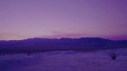 Sticker - Purple sunset over a snowy desert landscape with mountains in the distance.