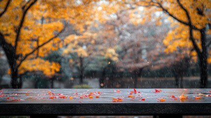 Wall Mural - Autumn Rain: A Serene Moment in the Park