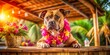 © Danicha - Vintage Photo: Brown Staffordshire Bull Terrier in Hawaiian Garland at Tropical Bar