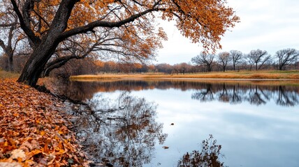 Wall Mural - autumnal scene with trees and foliage reflected in calm river