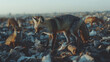 © Дарья Мартыненко - A high-resolution National Geographic-style digital photo capturing wildlife amidst waste. A variety of animals, such as birds, foxes, and small mammals