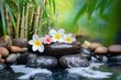 © hozo - Plumeria Flowers In Japanese Fountain With Massage Stones And Bamboo - Zen Garden