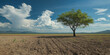 © Deja - Lonely tree standing in barren landscape under dramatic clouds nature photography outdoor serenity wide angle view solitude concept