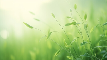 Wall Mural - Nature of green leaf in garden at summer under sunlight. Natural green leaves plants using as spring background environment ecology