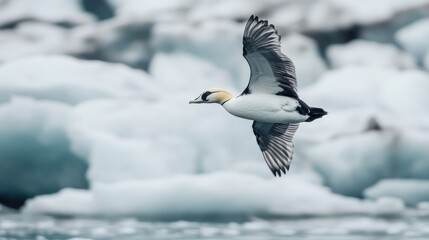 Wall Mural - A seabird soars gracefully over a glacier-covered landscape.