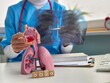 © Nadzeya - doctor studies a chest X-ray with metapneumovirus and lungs