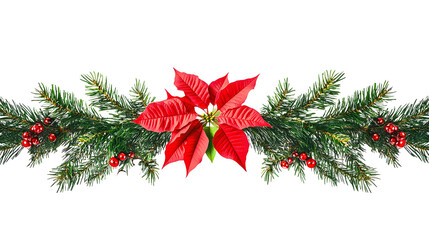 Wall Mural - Christmas tree branches and red poinsettia flower in a holiday line arrangement isolated on white or transparent background