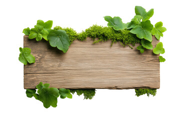 Wall Mural - wooden board with green leaves and moss, blank weathered sign board, cutout png