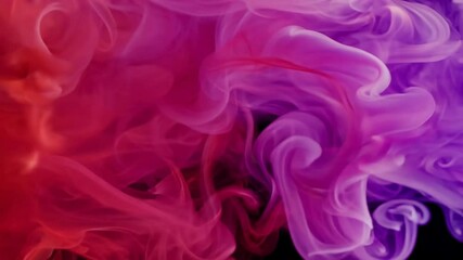 Wall Mural - background dense black vape purple smoke multicolored colors olated smoke red background pink smoke 