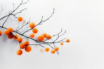 Leinwandbilder - A single kumquat branch sketched in minimalist detail, set against a light gray background