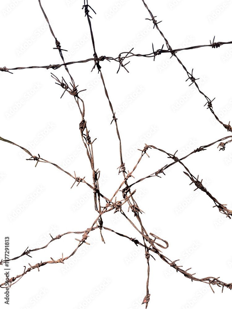 Abstract barbed wire texture on white Stock Photo | Adobe Stock