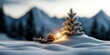 © Chano_1_na - Snowy Landscape with Pine Tree and Pine Cone Illuminated by Candlelight in Winter Scene