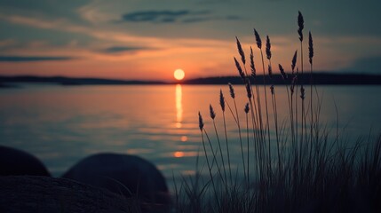 Aufkleber - A serene sunset over calm waters, with tall grass silhouetted in the foreground.