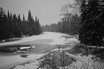 Canvas Print - Parc Appalaches 24 Décembre Au 2 Janvier 2025 N&B