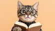 © Template_Design - Cat wearing glasses and sweater holds book, looking studious