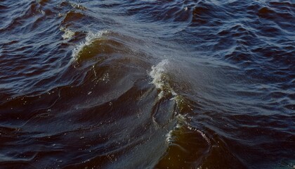 Poster - Close-Up View of Gentle Brownish Waves with Sparkling Droplets on Windy Water Surface, Capturing Natural Aquatic Textures for Calm Themes
