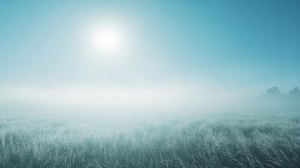 Wall Mural - Field of grass with a foggy sky in the background. The sky is blue and the sun is shining through the fog