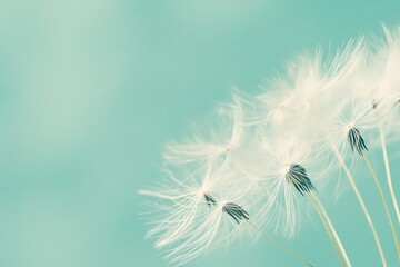 Close-up of dandelion seeds in the wind, with a light blue and green summer background