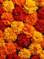 Wall Mural - A bunch of orange and red flowers on a black surface