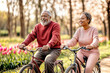 © Olga Che - Couple on bike. Senior man and woman on bicycle. Happy spring old people. Black active senior couple in spring park, pink tulip flower. African american people, mature family on bike, Valentine day bg