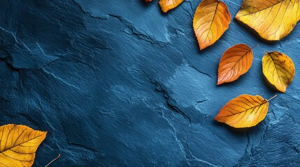 Wall Mural - Beautiful autumn leaves arranged on textured blue stone surface in natural light