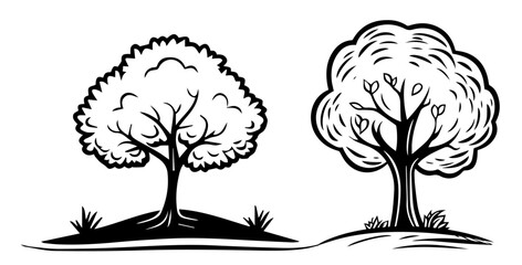 Wall Mural - creative vector tree illustration with a full canopy and flowing lines