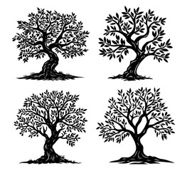 Wall Mural - collection of black and white illustrations of elegant tree designs