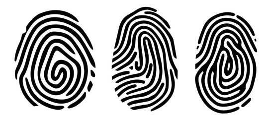 detailed vector artwork of fingerprint patterns in monochrome with clean lines