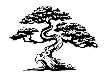 Wall Mural - elegant black and white illustration of a bonsai tree with intricate details