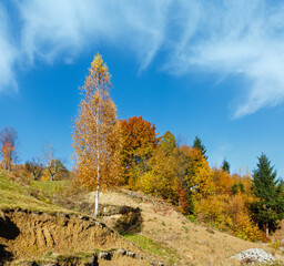 Wall Mural - Autumn Carpathian mountains, Ukraine