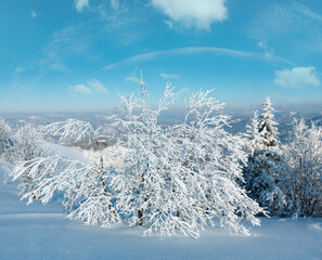 Wall Mural - Morning winter calm mountain landscape with beautiful frosting trees and snowdrifts on slope (Carpathian Mountains, Ukraine)