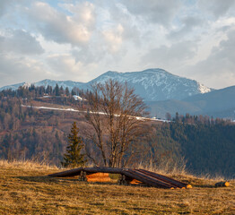 Wall Mural - early morning spring carpathian mountains plateau landscape with snow-covered ridge tops in far, ukr