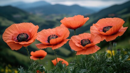 Wall Mural - A group of bright orange flowers growing together in a lush green field