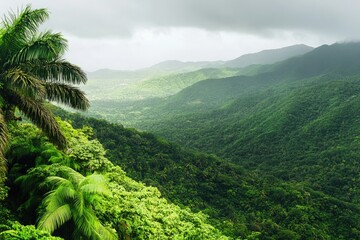 Wall Mural - A scenic view of a mountain with lush greenery and palm trees, suitable for outdoor or nature-inspired projects