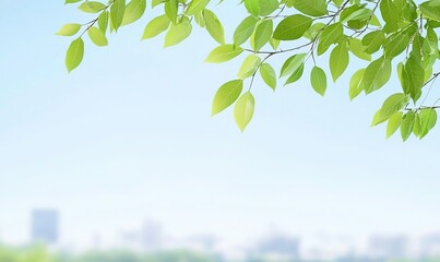 fresh green leaves frame blurred cityscape, eco-friendly urban life concept, nature background.