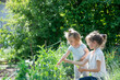 © Olena Smyrnova/Stocksy - Two children harvesting a city in a garden, organic farming