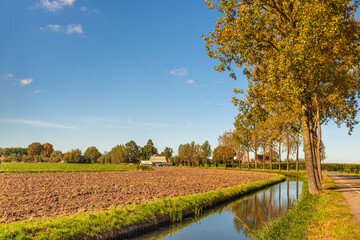 Poster - Agricultural landscape with a ploughed field and a ditch for the drainage of the polder. The trees are reflected in the water. The photo was taken on a sunny and windless day in the autumn season.