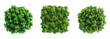 © Lifia - Green Foliage Collection with Transparent Background