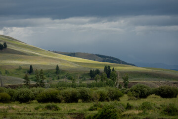 Wall Mural - Patches Of Sun Break Through Dark Clouds To Light The Hills Of Lamar Valley