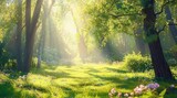 spring forest nature landscape-  beautiful sunny spring glade