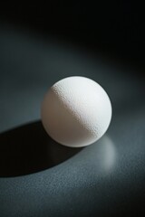 Poster - Single white egg on dark surface, dramatic lighting.