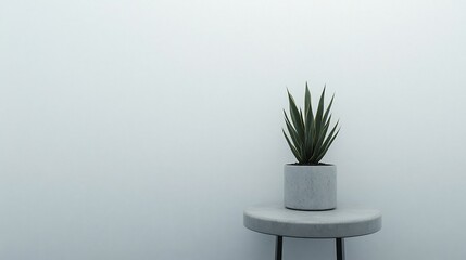 Poster - Minimalist interior design; small potted plant on a side table against a white wall.