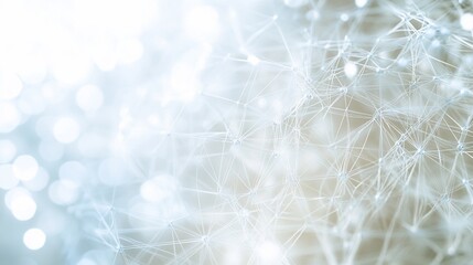 Fototapete - Abstract network connection background with bokeh lights.