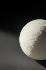 Poster - Close-up of a textured white sphere on a dark background, illuminated by a single light source.
