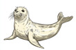 © SPPhotoRun - Doodle illustration of seal with detailed features and playful expression
