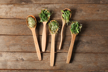 Wall Mural - Spoons with different micro green on wooden background