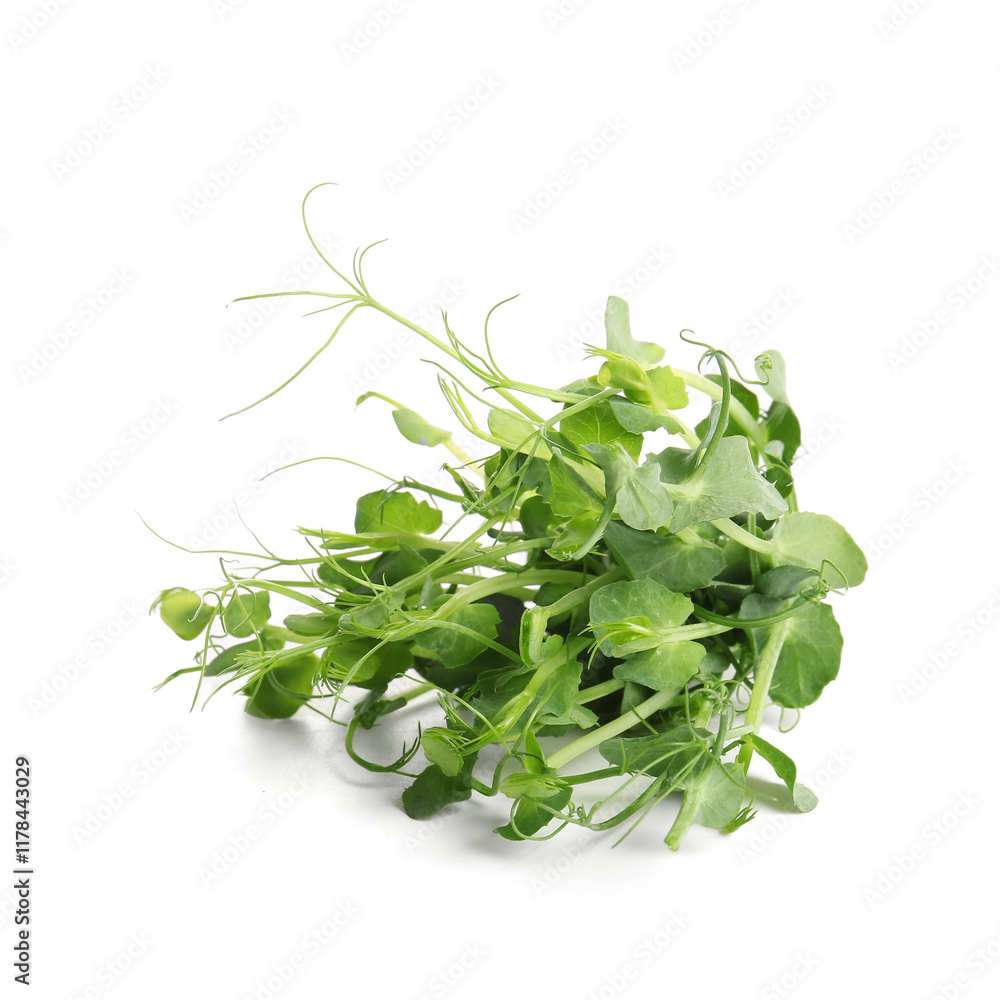Micro green pea sprouts isolated on white background