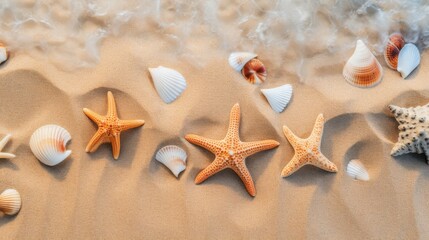 Aerial shot of a sandy beach filled with exotic seashells, starfish, and subtle sand patterns.